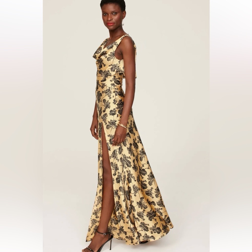 De La Vali Columbia Gown - Picture 2 of 6